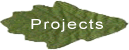 Projects